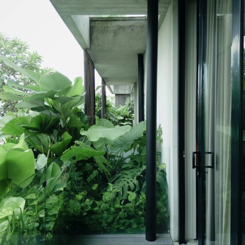 casa com plantas, brise e janela